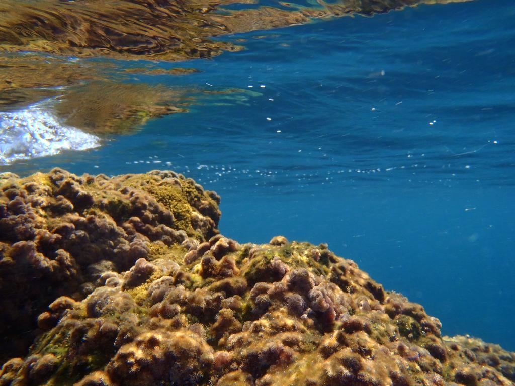 Le Casette Sul Mare Capo Vaticano Kültér fotó
